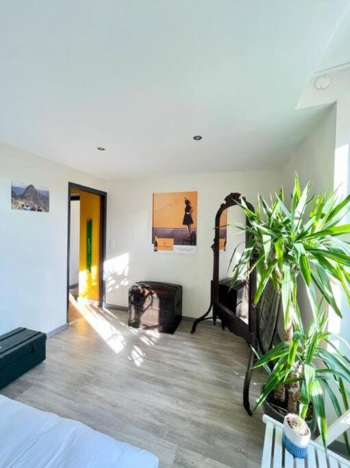 Le Grenier A Sel - Reims Apartment Bagian luar foto